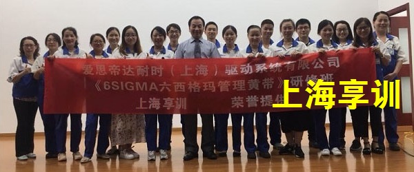 六西格玛培训――爱思帝达耐时（上海）驱动系统有限公司